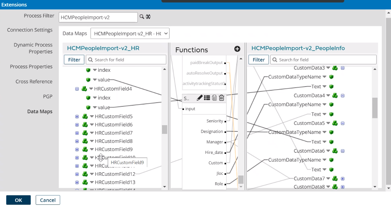 Example HRCustomFields1-100 mapping
